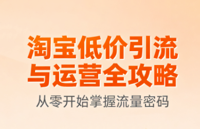 淘宝低价引流与运营全攻略(更新9月)-邪修侠学院