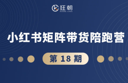 盗坤·抖音小红书视频号短视频带货与直播变现(11-18期)-邪修侠学院