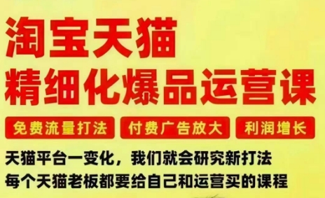 淘宝天猫精细化爆品运营课，免费流量打法-付费广告放大-利润增长-三大核心痛点，一次全部解决-邪修侠学院