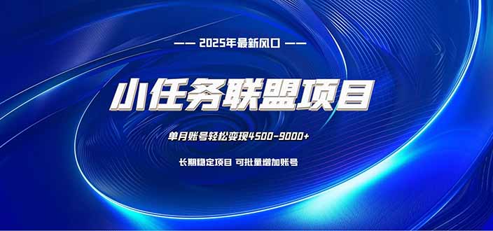小任务联盟项目:一台电脑每天只需10分钟,轻松简单稳定-邪修侠学院