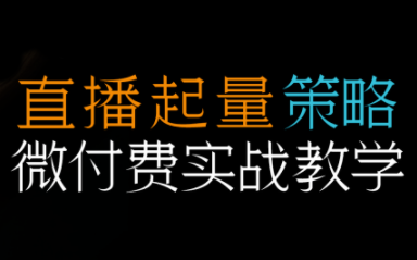 半野老师·直播带货起量与微付费必学课视频号-邪修侠学院