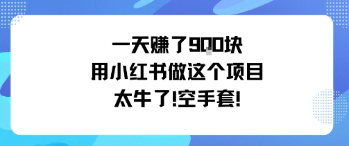 一天挣了9张用小红书做这个项目太牛了，空手套-邪修侠学院
