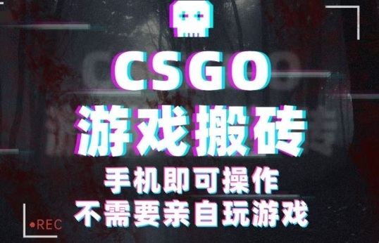 CSGO游戏挂G捡漏，单日扫货5张+，年底小高峰上车可吃肉，手机即可操作，兼职副业创业网创【揭秘】-邪修侠学院