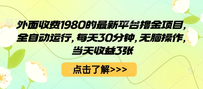 外面收费1980的最新平台撸金项目,全自动运行,每天30分钟,无脑操作,当天收益3张【揭秘】-邪修侠学院