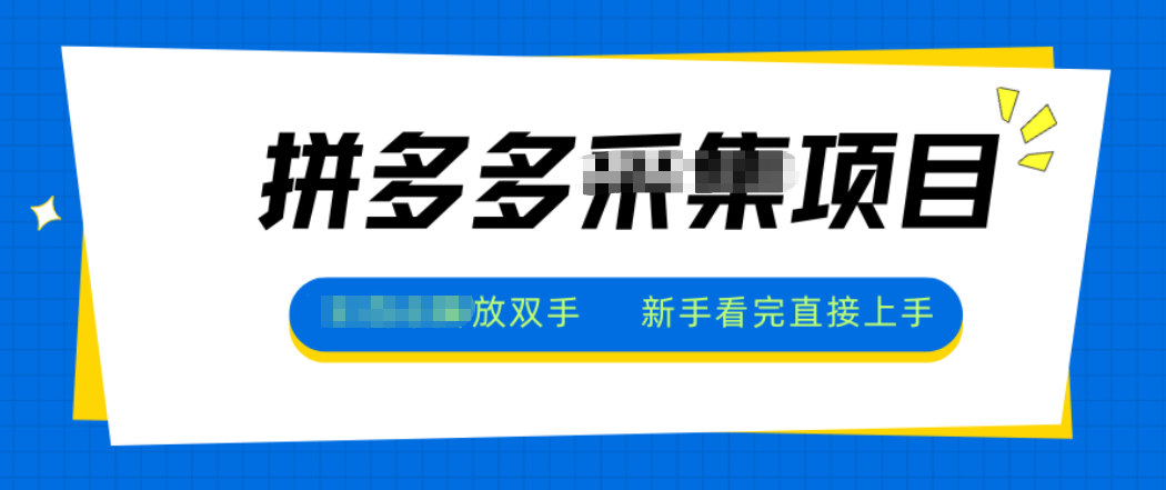 拼多多电商采集，一小时50+，操作简单，零投资-邪修侠学院