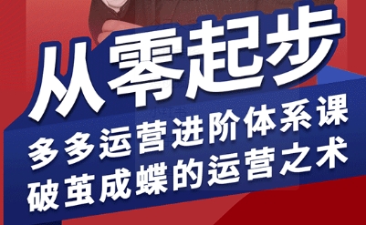 拼多多运营进阶系统课,从零起步,多多运营进阶体系课,破茧成蝶的运营之术(更新9月)-邪修侠学院