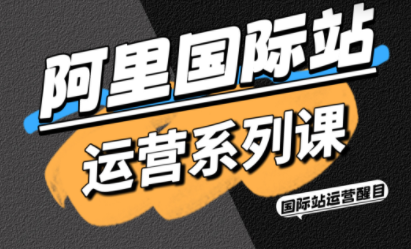 醒目老师·阿里国际站运营系列课(更新11月)-邪修侠学院