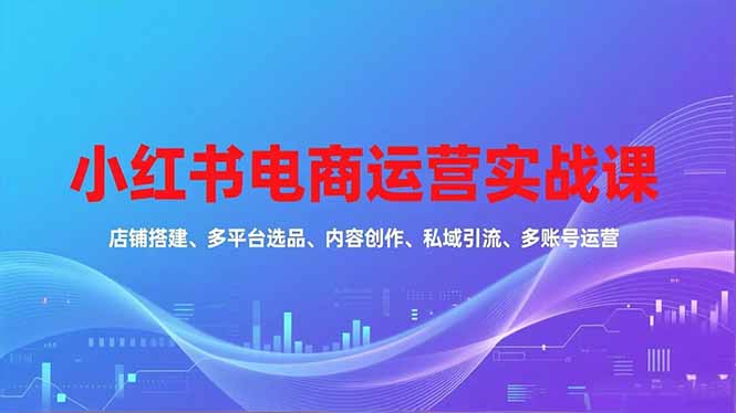 小红书电商运营实战课,店铺搭建、多平台选品、内容创作、私域引流、多账号运营等玩法-邪修侠学院