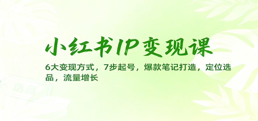 小红书IP变现课：6大变现方式，7步起号，爆款笔记打造，定位选品，流量增长-邪修侠学院