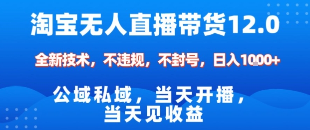 淘宝无人直播12.0,公域私域技术,不封号,不违规布局双十一流量风口,日入1k(独家技术)【揭秘】-邪修侠学院