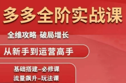 大炮·拼多多全阶实战课程(更新10月)-邪修侠学院